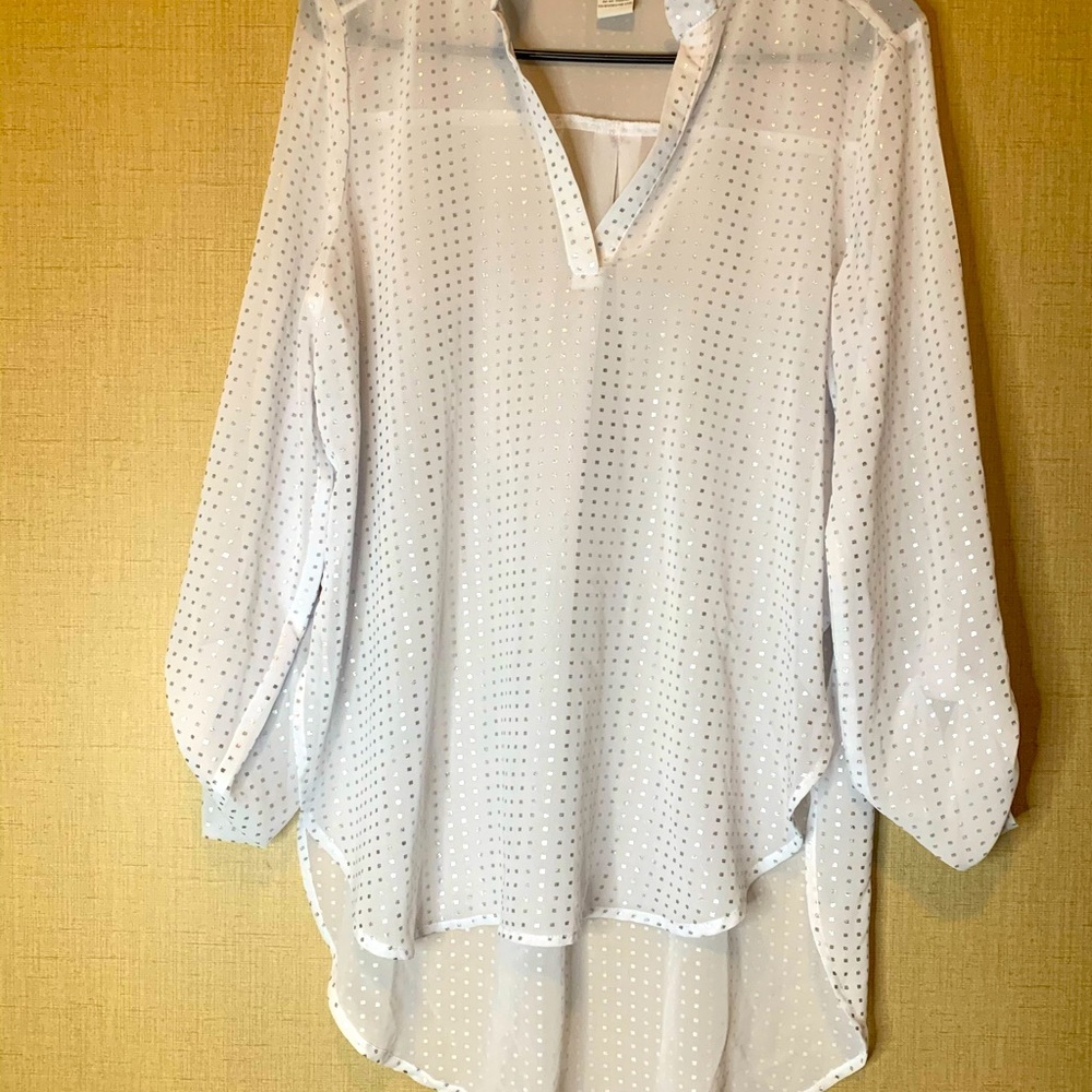 See Through Blouse